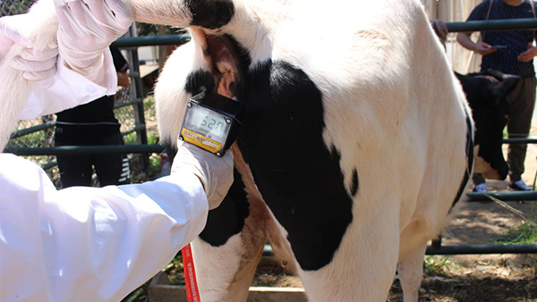 北京畜牧獸醫實訓園-愛牧多案例